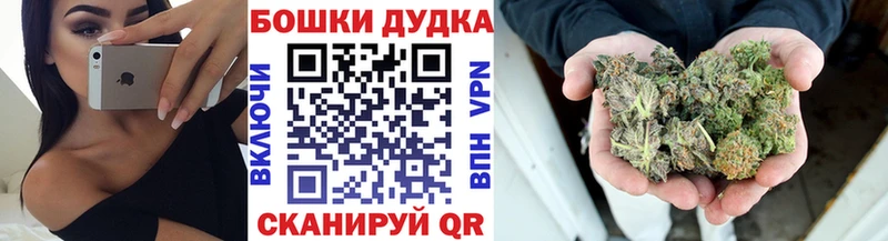 Купить закладки  Кировск  Канабис сатива 